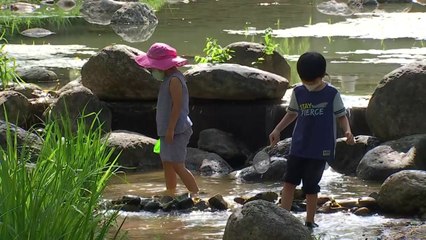 [날씨] 오늘 서쪽 더위, 서울 32℃...내일도 제주도·동해안 비 / YTN