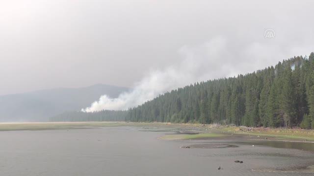 Son dakika haberleri: ABD'nin Kaliforniya eyaletindeki orman yangınları