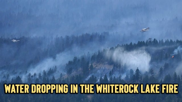 'AT-802 Fire Boss to the RESCUE | Firefighting Aircraft Join the Fight Against White Rock Lake Wildfire'