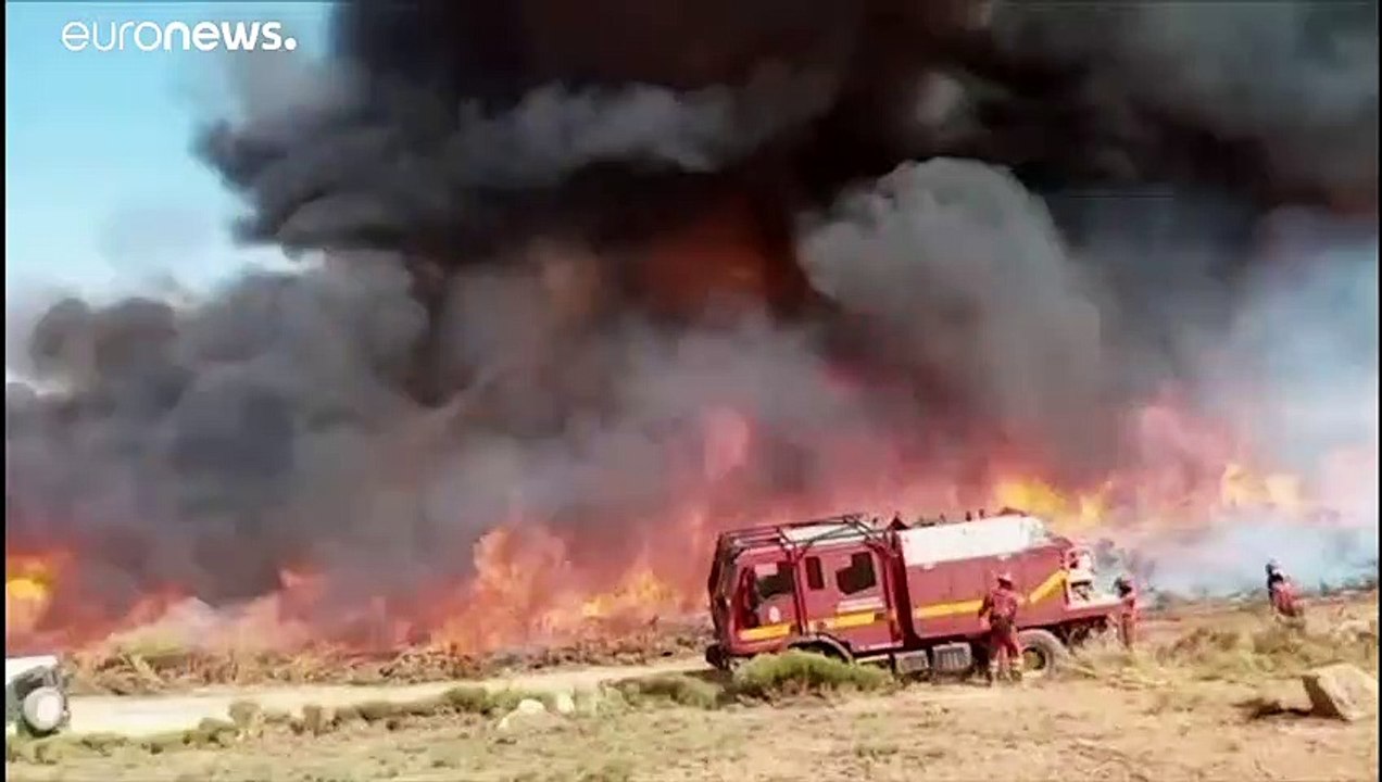 Tausende Hektar Wald vernichtet: Spanien ächzt unter Hitze und Waldbränden