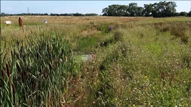 EPIC Project Sompting Brooks Trail