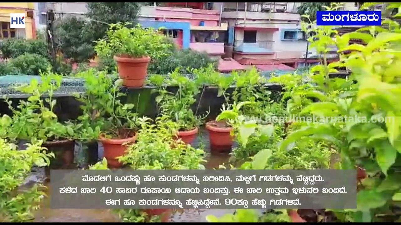 Mangalore Advocate woman grows jasmine on terrace earns Rs 15000 per month