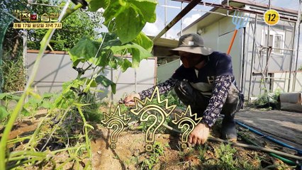 상남자 향기나는 가수 편승엽!_기적의 습관 92회 예고 TV CHOSUN 210817 방송