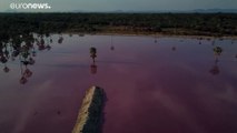 التلوث الصناعي يحول مياه بحيرة في باراغواي إلى اللون الوردي