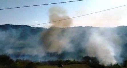 Sogliano al Rubicone (FC) - Vasto incendio di vegetazione (16.08.21)