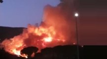 Vicopisano (PI) - Incendio boschivo sul Monte Pisano (16.08.21)