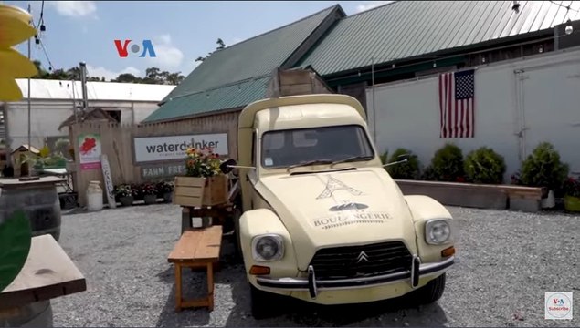 Terpukul Pandemi, Petani AS Ubah Ladang Pertanian Jadi Taman Hiburan
