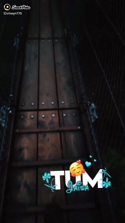 5215318367340774832_play.mp4_logo_US