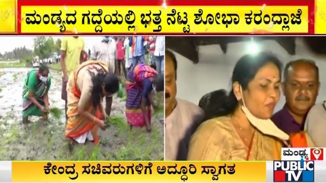 ಮಂಡ್ಯದ ಗದ್ದೆಯಲ್ಲಿ ಭತ್ತ ನೆಟ್ಟ ಕೇಂದ್ರ ಸಚಿವೆ ಶೋಭಾ ಕರಂದ್ಲಾಜೆ | Shobha Karandlaje | Mandya