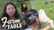 Farm To Table:  The secret to the success of a family-owned farm in Batangas