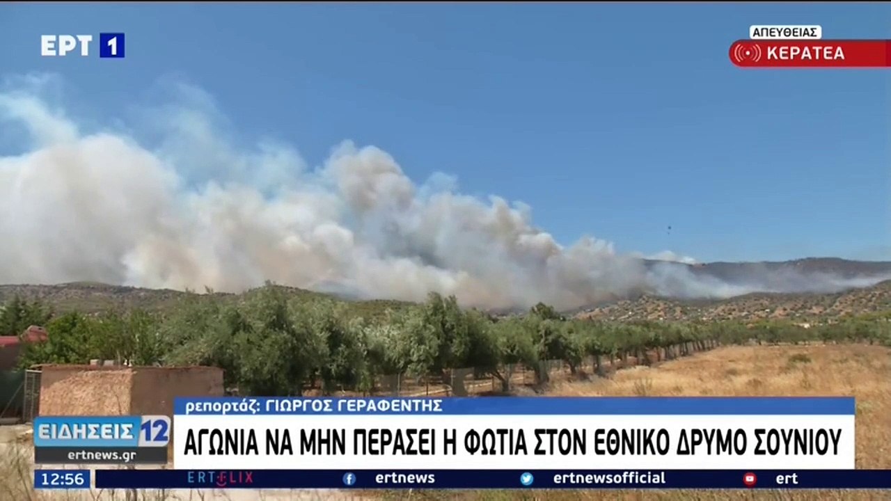 Incendi boschivi nel Mediterraneo, colpa dei cambiamenti climatici
