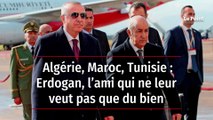 Algérie, Maroc, Tunisie : Erdogan, l’ami qui ne leur veut pas que du bien