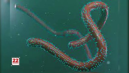 JT 22H DU MER 11 08 2021