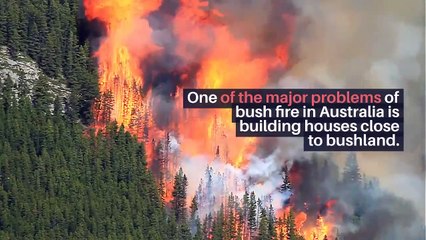 Enrico Conti | Designing a bushfire proof house