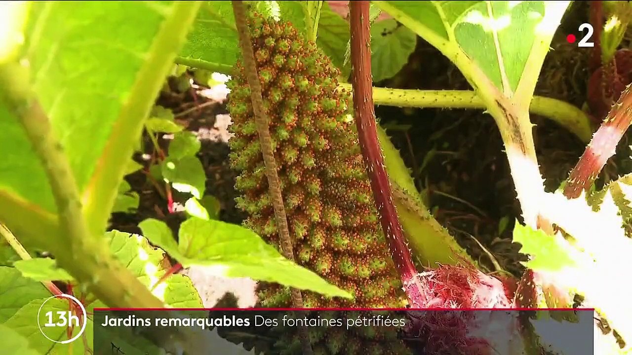 A la découverte des fontaines pétrifiées en Isère
