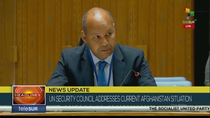 "Afghanistan's peace and stability depends on political negotiation"