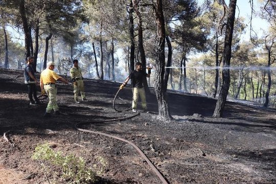 UŞAK'TA ORMAN YANGININDA 1 HEKTARLIK ALAN ZARAR GÖRDÜ