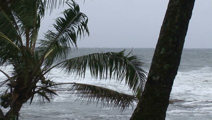 Looking back on the history of "G" named storms