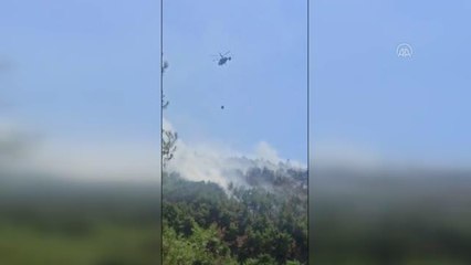 Son dakika haberi | 2,5 hektarlık orman alanının zarar gördüğü yangın kontrol altına alındı