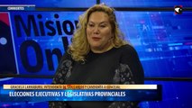 Elecciones ejecutivas y legislativas provinciales