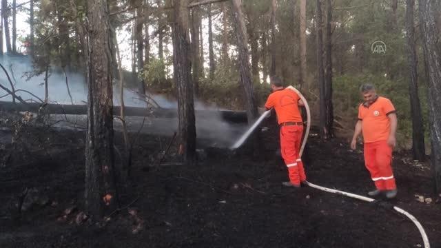 Buğday ekili tarlada çıkan yangın söndürüldü