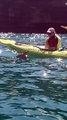 Kayak Tour Rescues Baby Fawn from Drowning