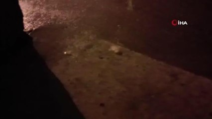 Dolu yağışı saniyeler içerisinde etrafı beyaza bürüdü