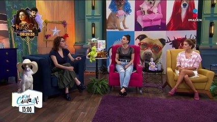 ¡Miguel Bosé anuncia su retiro de los medios!