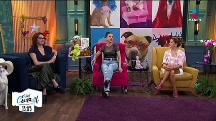 ¡La lista de famosas que luchan por los derechos de las mujeres!