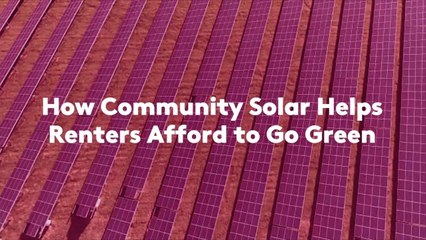 How Community Solar Helps Renters Afford to Go Green