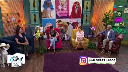 ¡Expedientes Chulos de Bibi Gaytán!