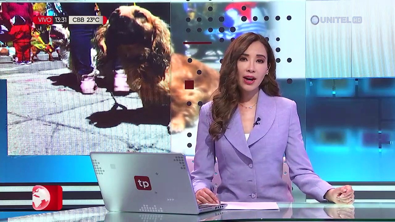 En Cochabamba buscan buscan endurecer  sanciones contra el maltrato animal