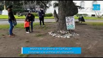 Marcha de las piedras: en La Plata, familiares homenajearon a víctimas de la pandemia