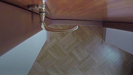 How High Can Cats Actually Jump?