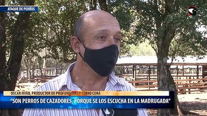 “Son perros de cazadores, porque se los escucha en la madrugada”