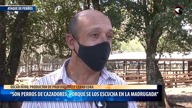 “Son perros de cazadores, porque se los escucha en la madrugada”