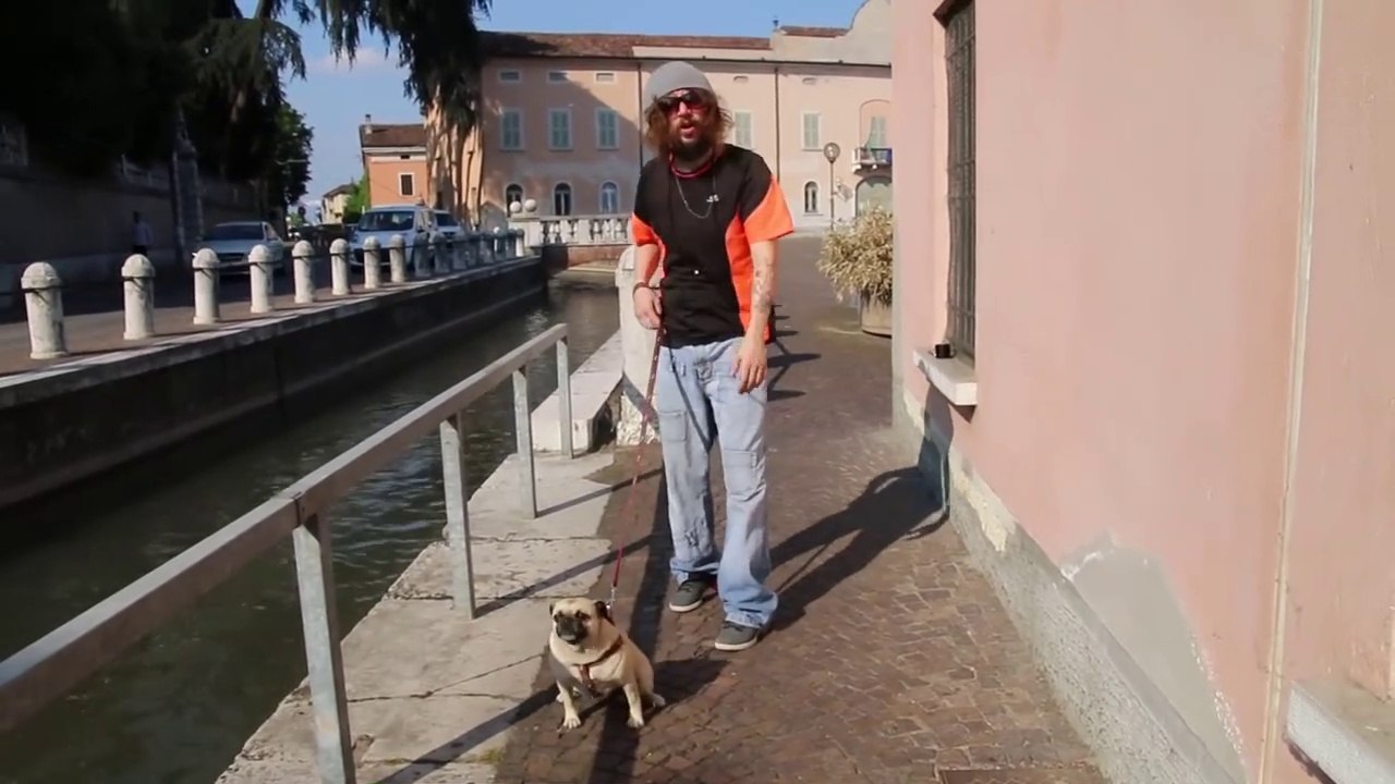 HO LA MOROSA N3GRA - lupi negvi