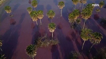 [굿모닝월드] 알고 보면 무서운 호수