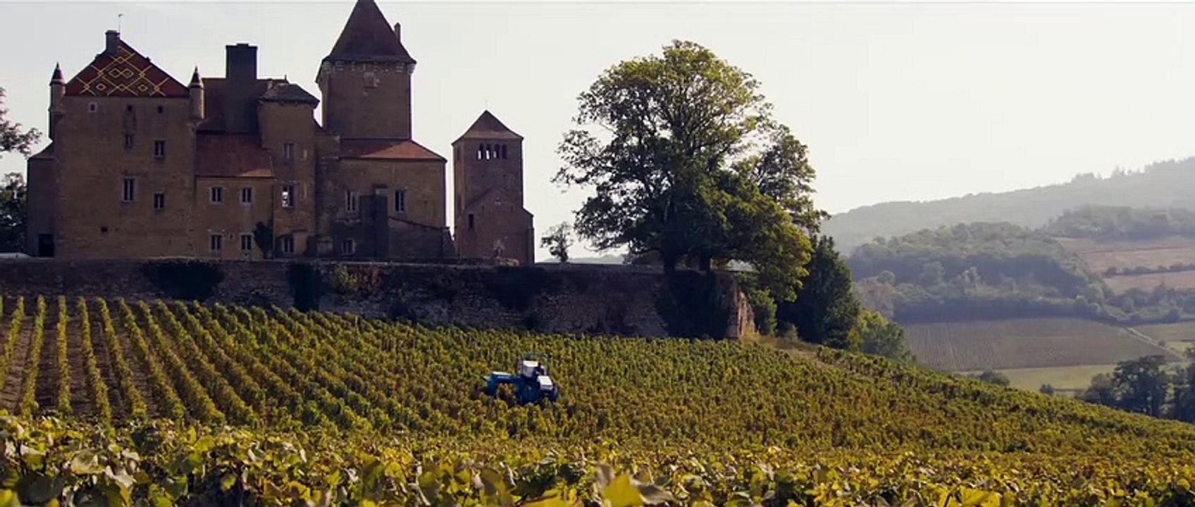 Premiers crus (2015) - Bande annonce