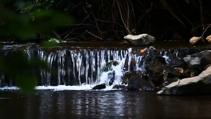 Relaxing Music 24/7, Spa Music, Stress Relief Music, Meditation Music