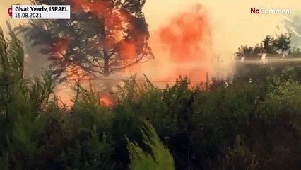 Düsterer Himmel über Jerusalem: Brände treiben Tausende in die Flucht