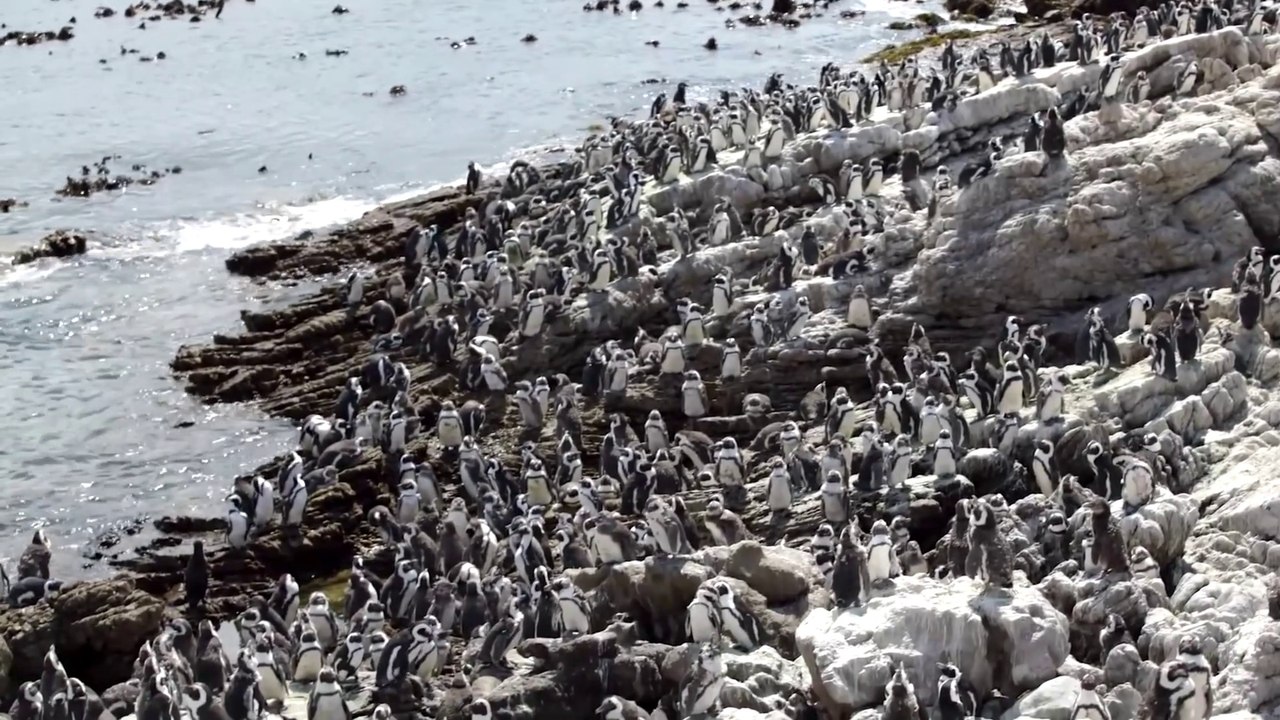 SummerMix ,Mega MashUp, Deep House, Vocal House, Nu Disco, Chillout _ Get Relax  -  Mega Hits 2020 The Best Of Vocal Deep House Music Mix 2020 Summer Music Mix 2020 #37