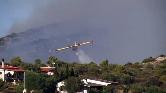 Wieder Waldbrände nahe Athen