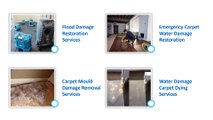 Specialist Flood Damage Restoration Services in Brisbane | Carpet Water Damage Restoration Services