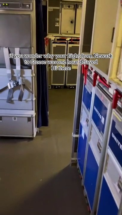Pomba atrasa voo,