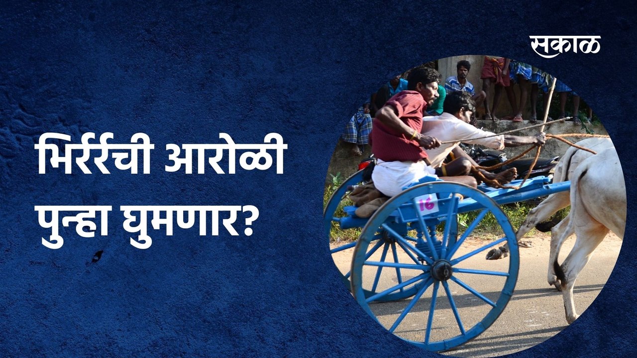 Bullock Cart Race; भिर्रर्रची आरोळी पुन्हा घुमणार?