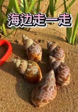 Catching Seafood Real life (Catch Shark , Catch Fish , Monster) - TikTok #007