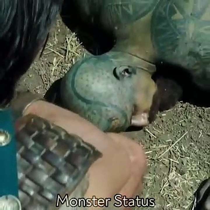 New Hollywood WhatsApp stats // please sport me