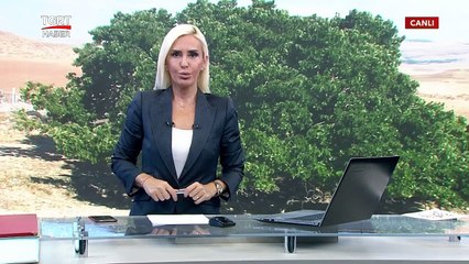 Efsanelere Konu Oluyor, Şifa Veriyor | Bu Dut Ağacının Yaşı Hesaplanamıyor