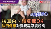 拉耳朵、饋腳都OK！ 「法鬥保母」對寶寶容忍度超高